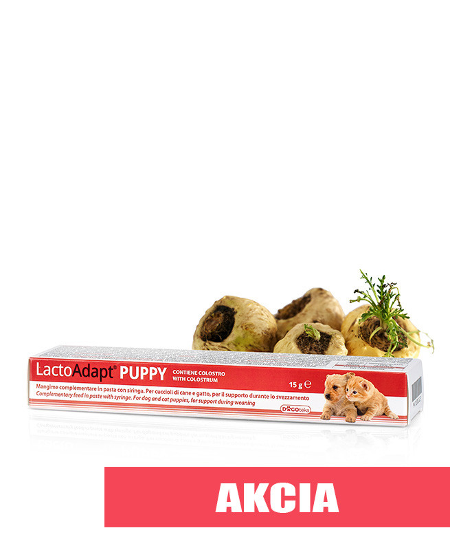 1786182819PUPPY_a.jpg